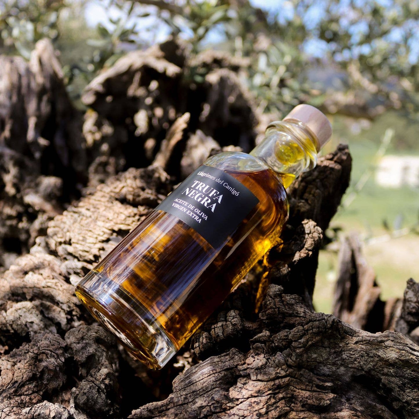 Aceite de Oliva con Trufa Negra - 0,25L